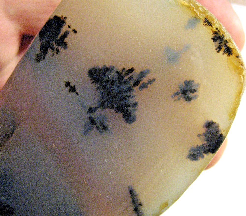 rle MONTANA AGATE ROUGH 0.32 lbs. DENDRITIC, EXCELLENT!