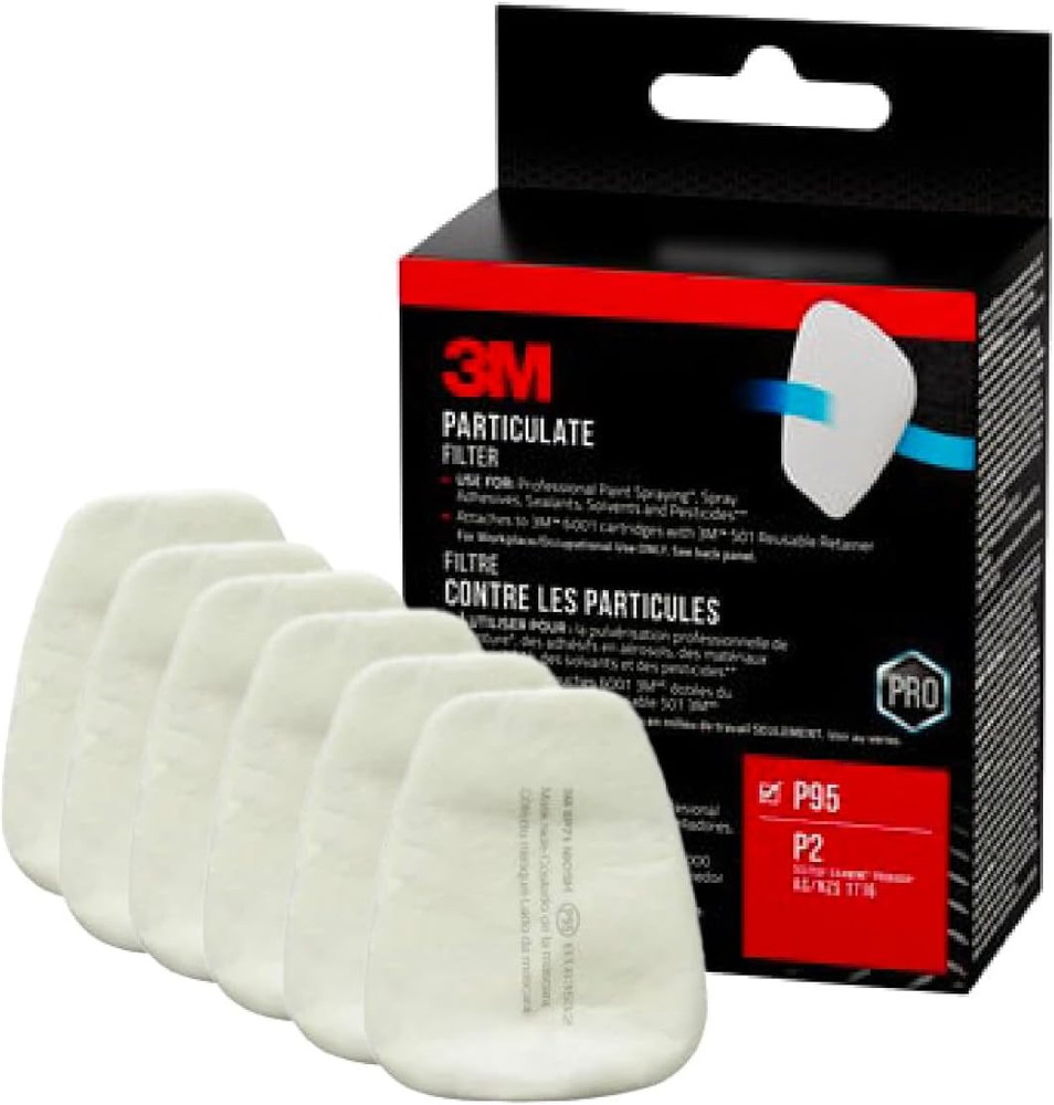 Particulate Filter P95, 3 Pair/Pack, 12 Pack/Case