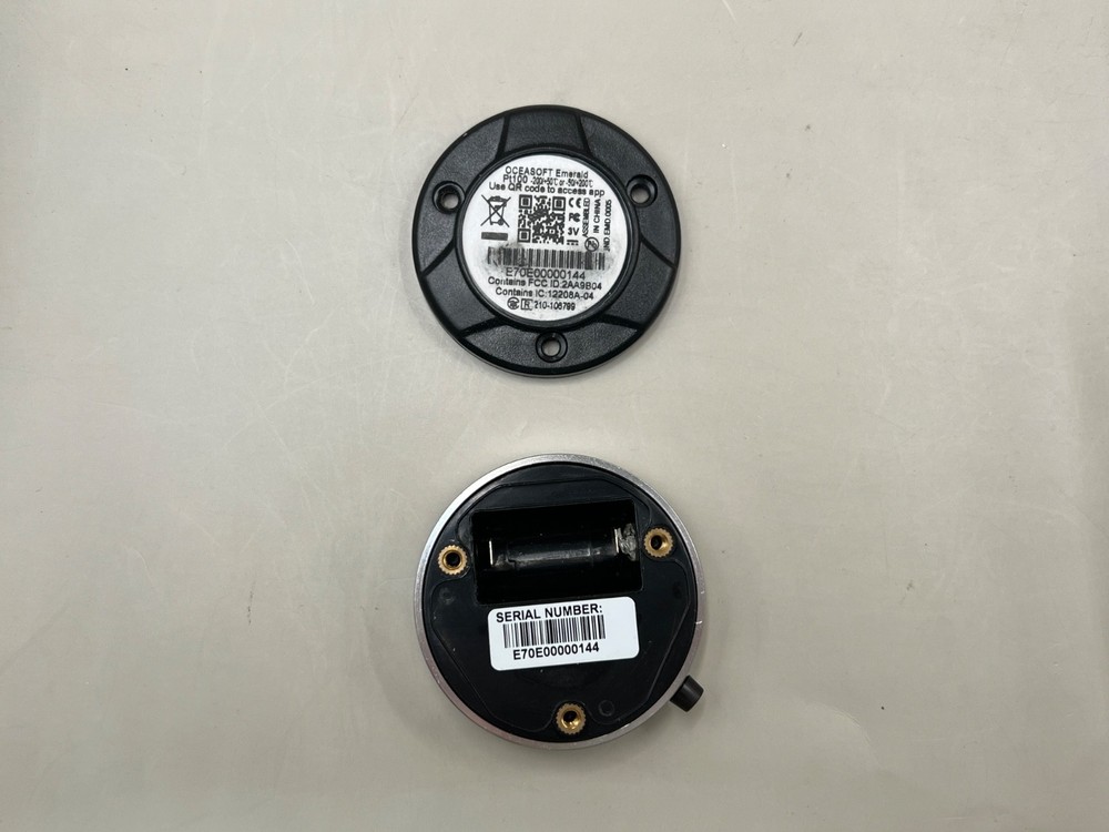 Dickson Emerald PT100 ENR.EMD.P006 Bluetooth Temperature Data Logger