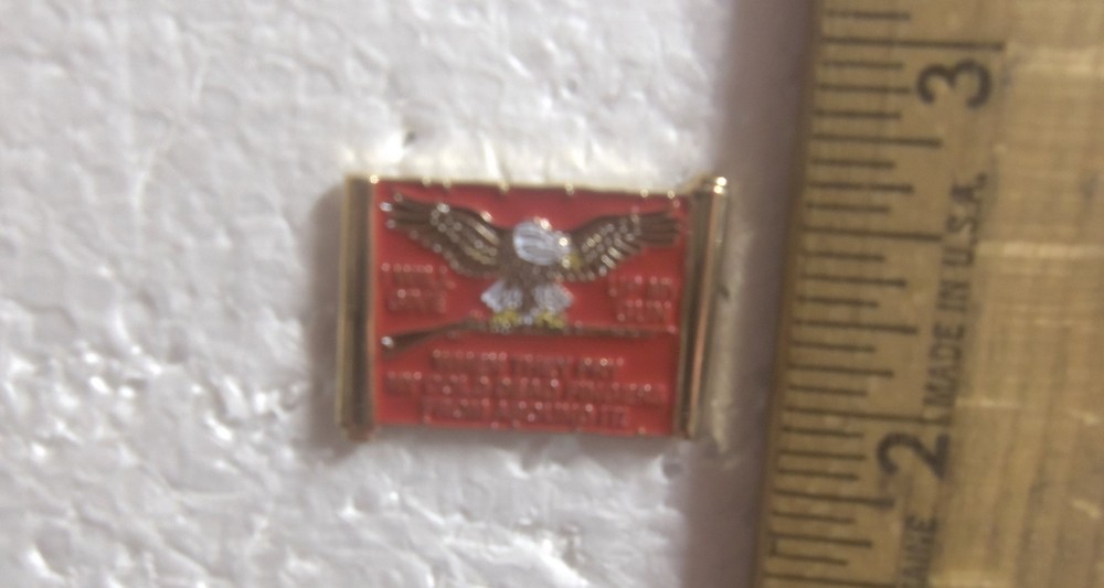 I Will Give Up My Gun … Pin