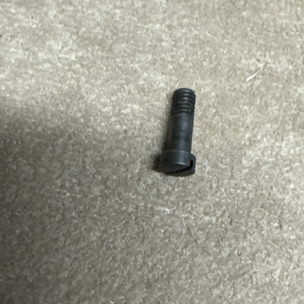 L & R Bridle Screw #7