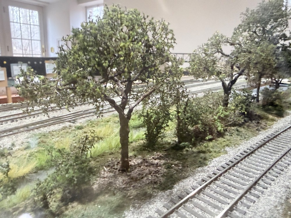 Five Model Railroad Scenery Diorama & Foreground Quality Trees