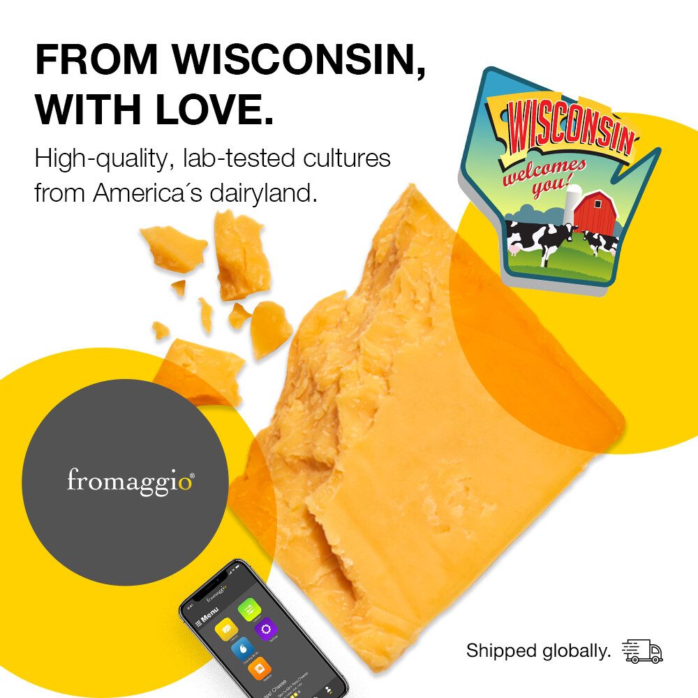 Fromaggio Smart Home Cheese Maker with Easy To Use Controls Copper