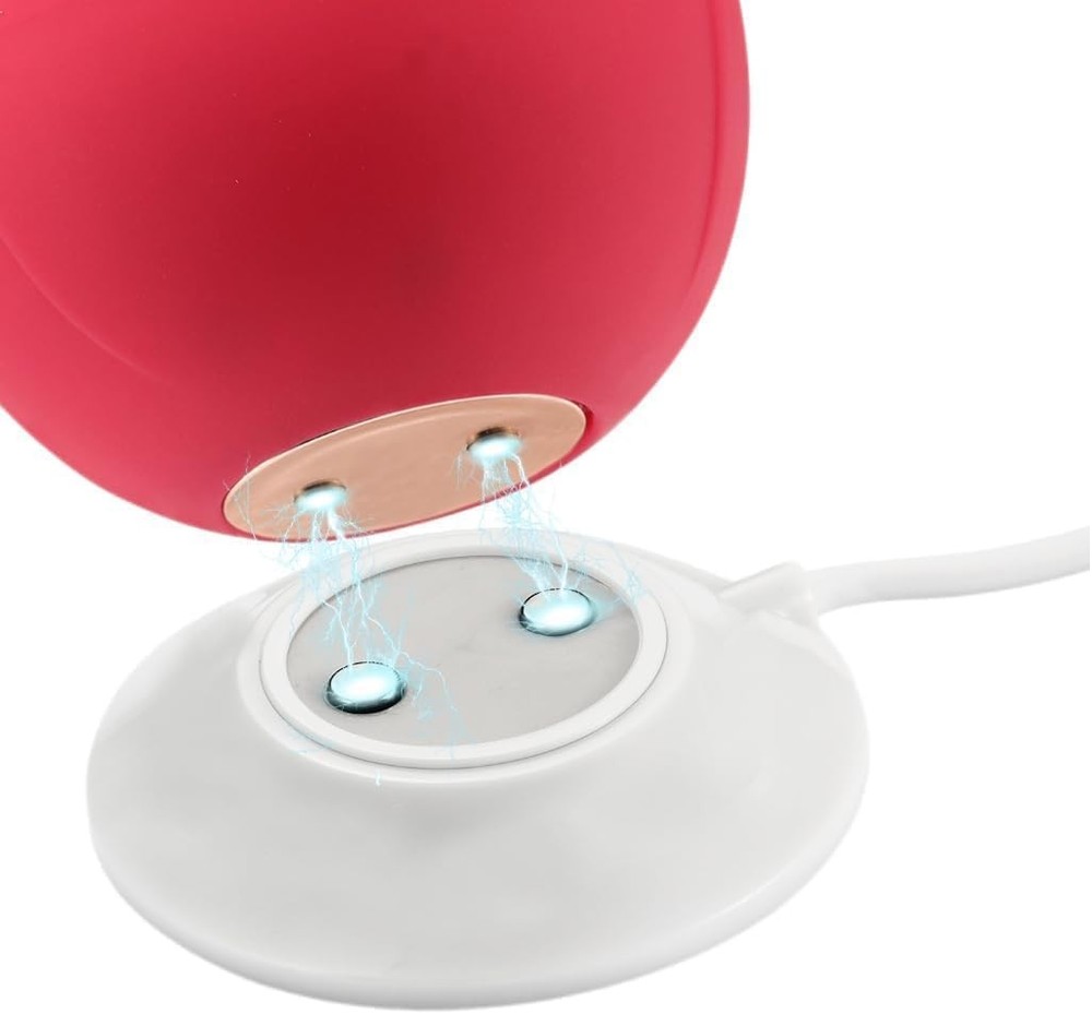 Rose Charger - Magnetic Replacement - Fast Charging USB 1PACK, White