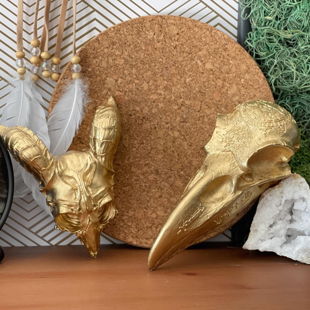 Crow Skull Replica, Raven Skull Sculpture, Realistic Magpie
