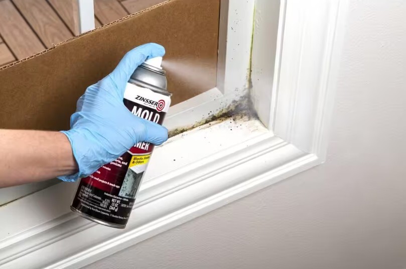 Zinsser Mold Blocking Interior/Exterior Primer, Blocks Stains & Odors - 6 Pack