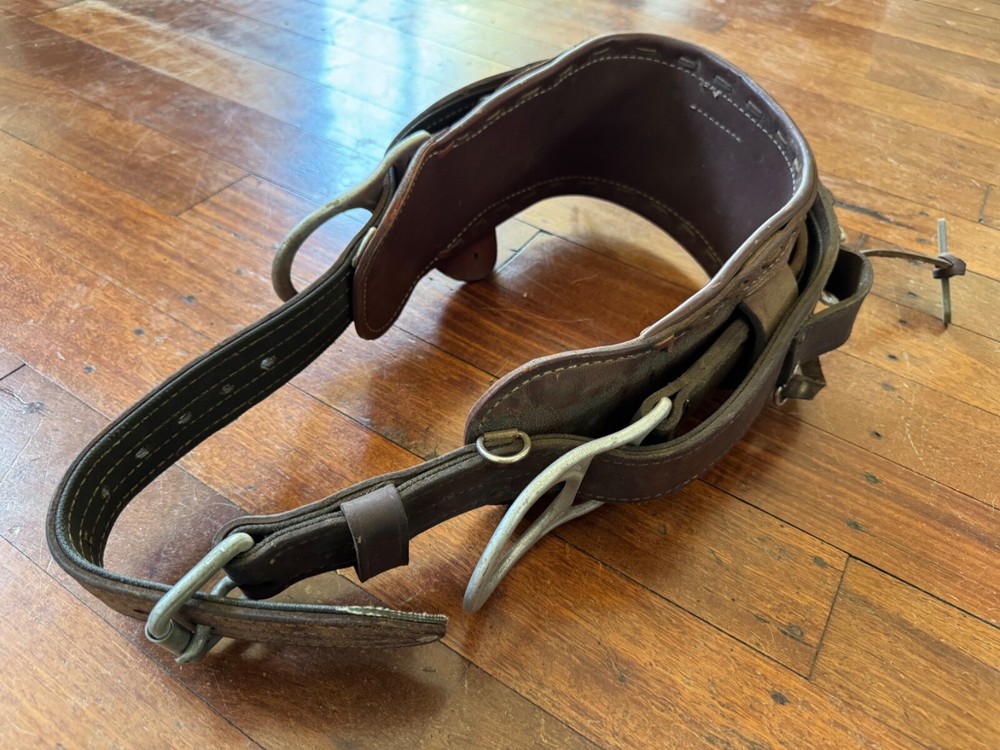 WM Baslin and Co climbing belt