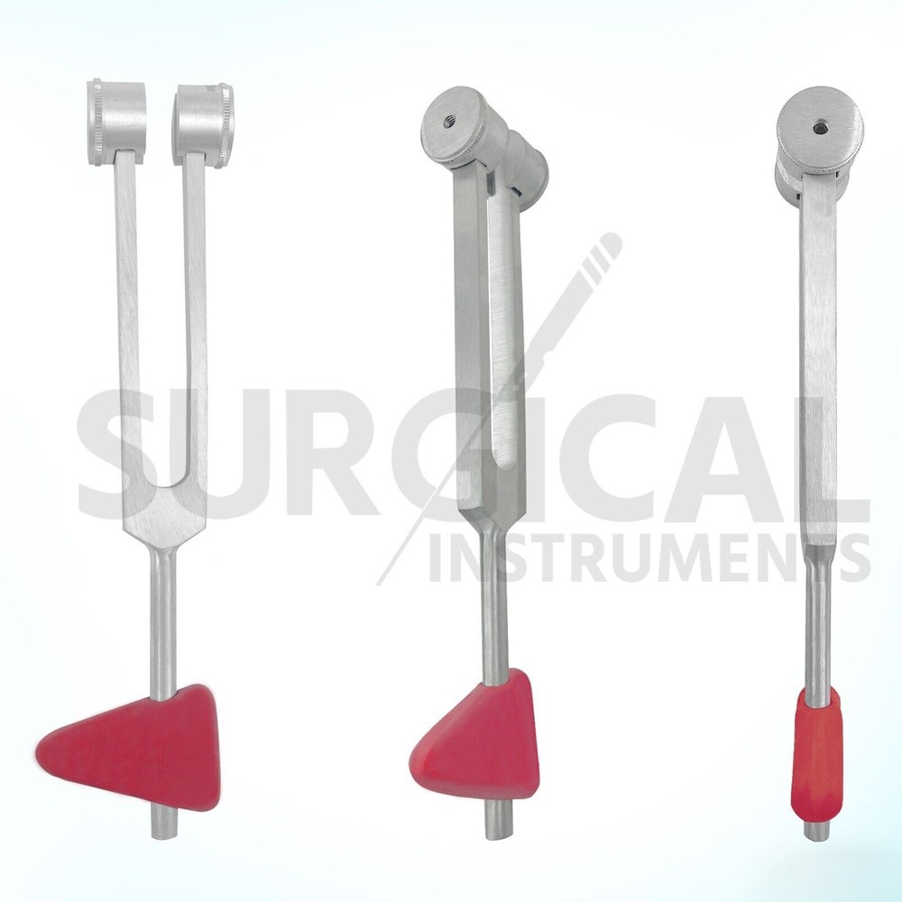 Taylor Hammer Tuning Fork Combination