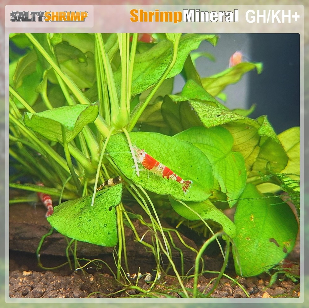 Shrimp Mineral GH/KH+ 200G