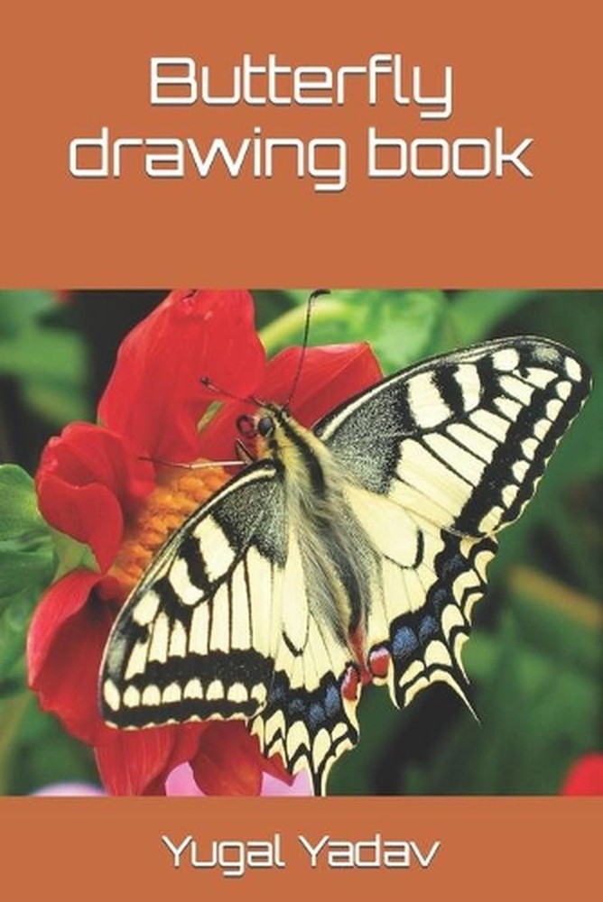 Butterfly drawing book