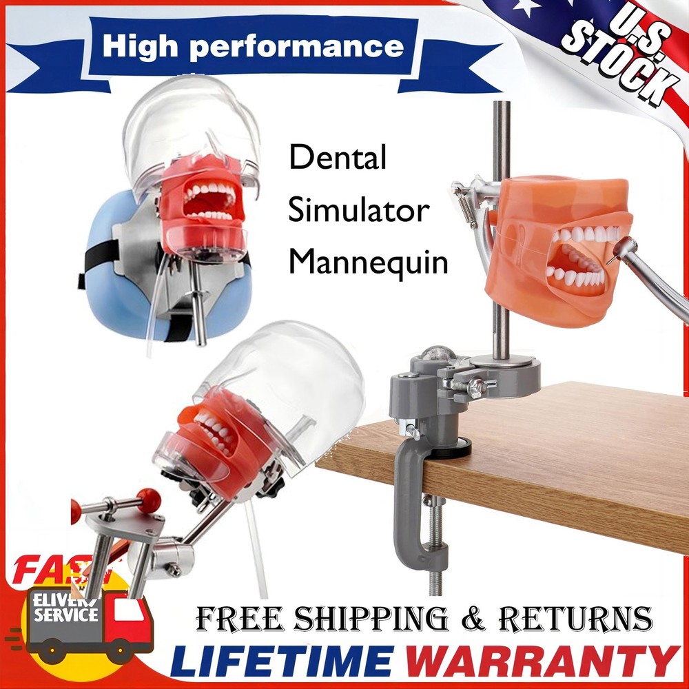 Dental Simulator Mannequin Head Teeth Model Typodont Model &Teeth Mount Pole NEW