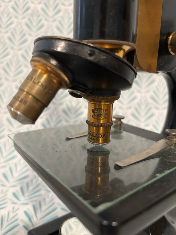 Early 1900’s Spencer Buffalo USA Microscope Model EHS, Primitive