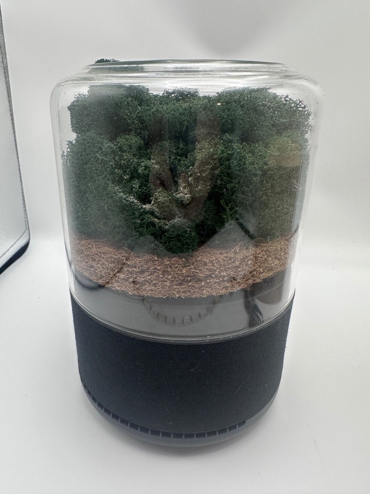 Briiv Air Purifier One Year Filter Pack Eco-Friendly Natural Moss Filter System