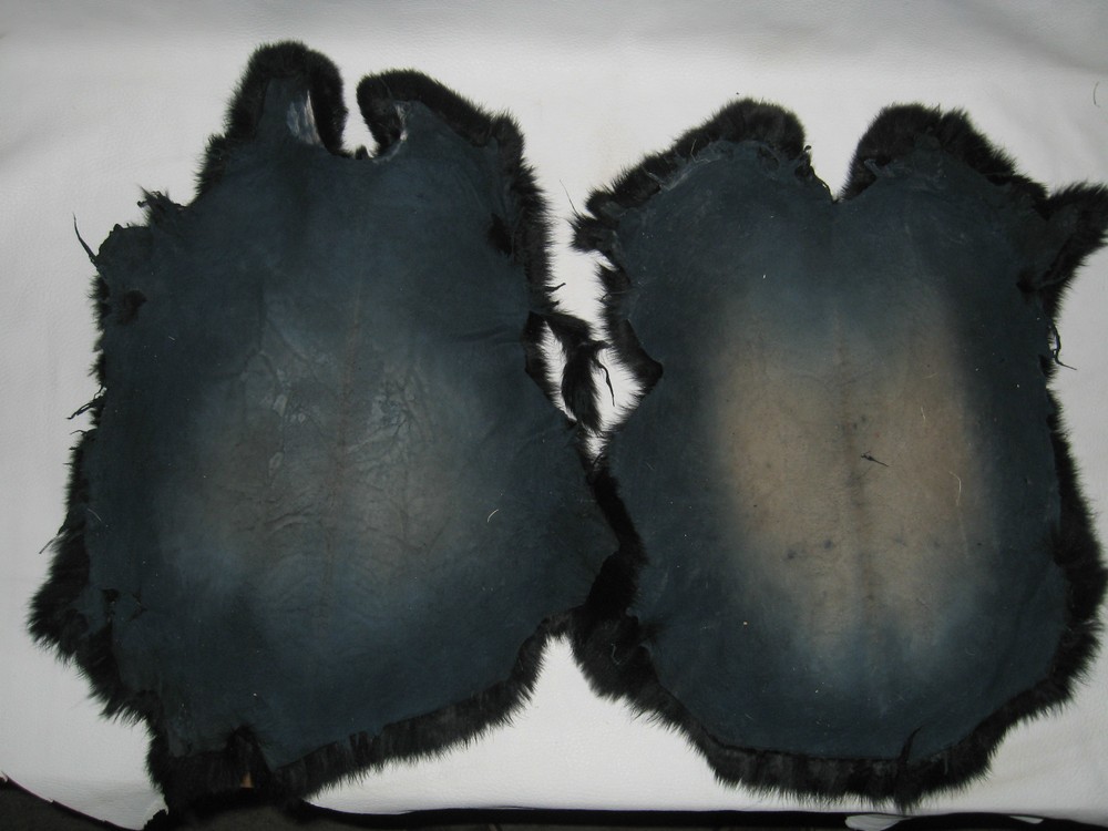 2 VERY NICE BLACK DYED RABBIT SKINS