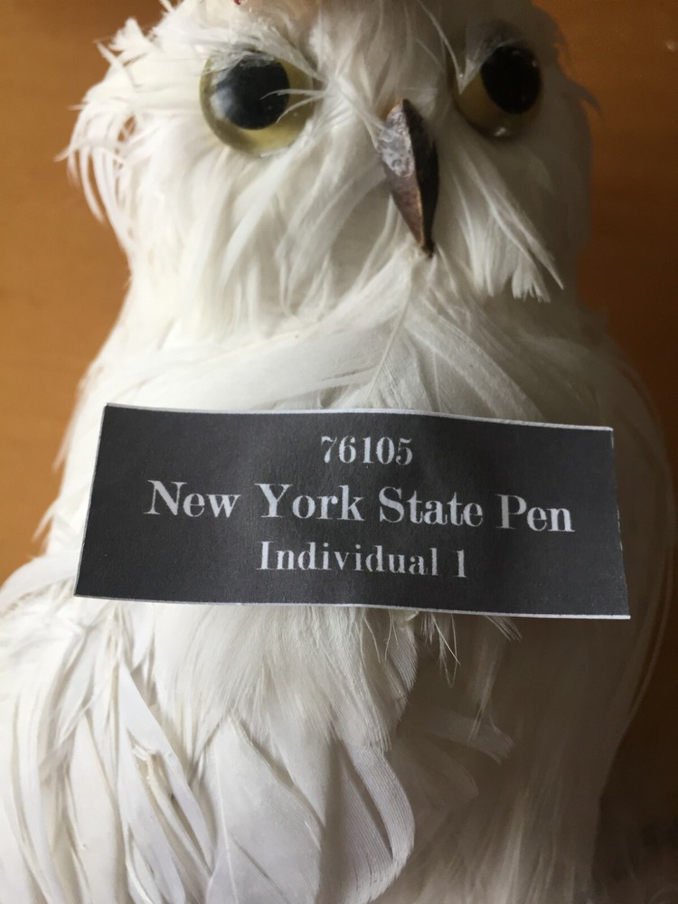 CRIME PUNISHMENT AND ODDITY: Individual 1 Prison Cell Display