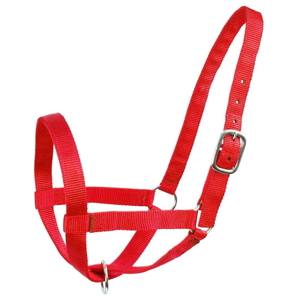 Durable Adjustable Nylon Cattle Halter For All Breeds Multiple Colors Available