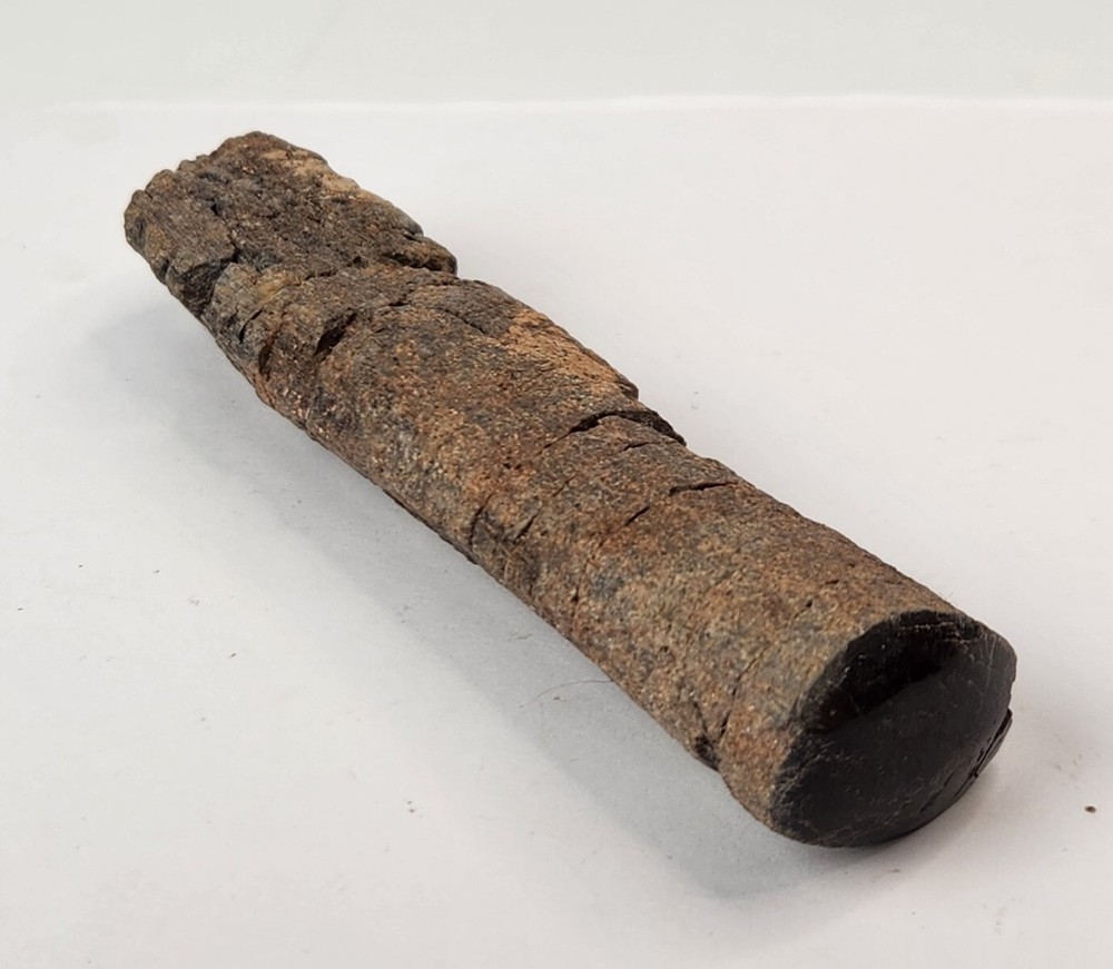 Polished Dinosaur Bone (Rib?) Fossil - Morrison Fm.