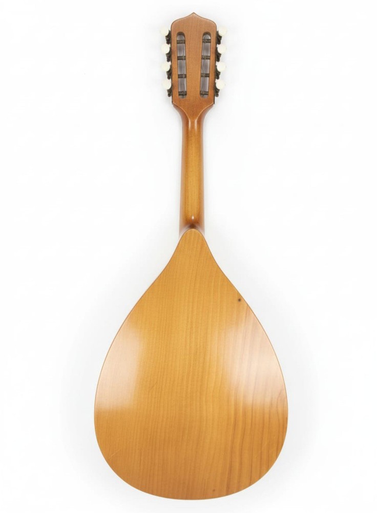 HISTORIC MANDOLIN