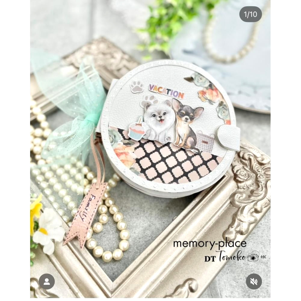 Memory Place Ephemera Pet Life