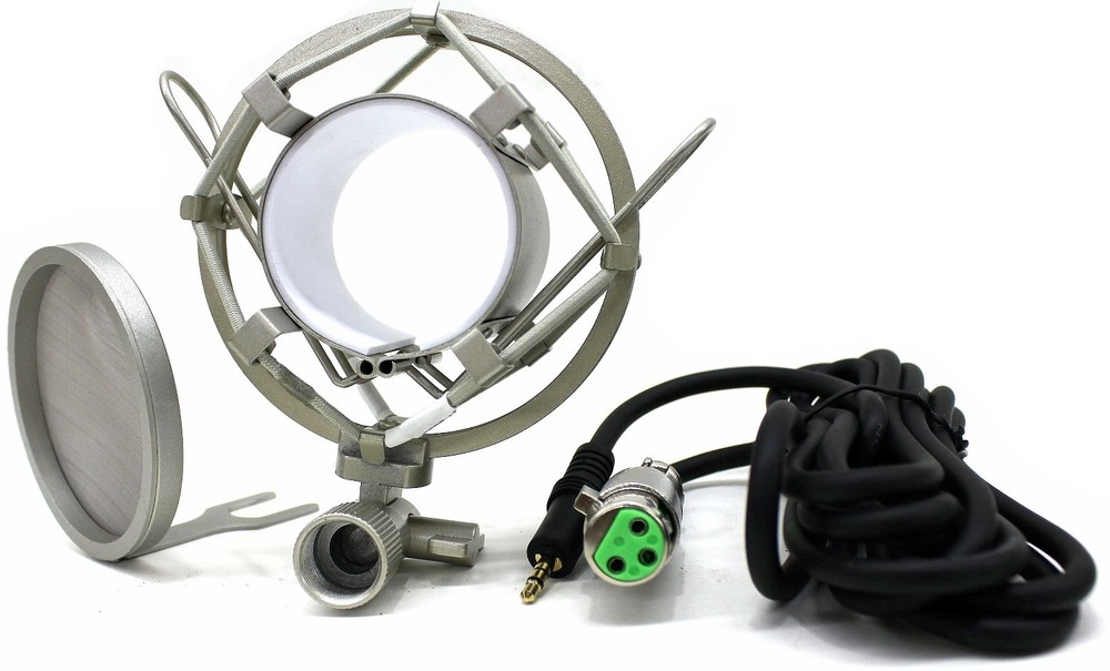 DEURA DCM-100 Large Diaphragm Phantom Power Studio Condenser BEST Microphone