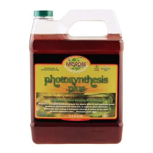 Microbe Life Photosynthesis Plus Quart