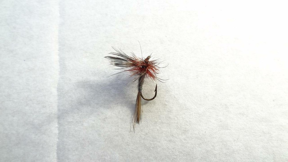 1 DOZ DF-5 ADAMS (SELECT YOUR SIZE) DRY FLY