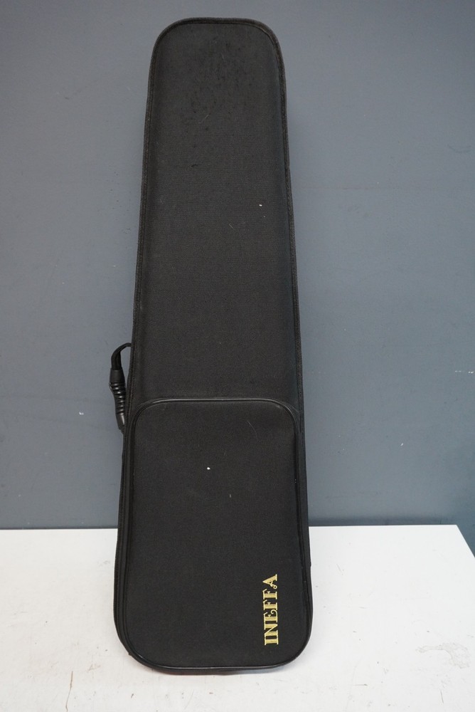 Unlabeled Violin with Case