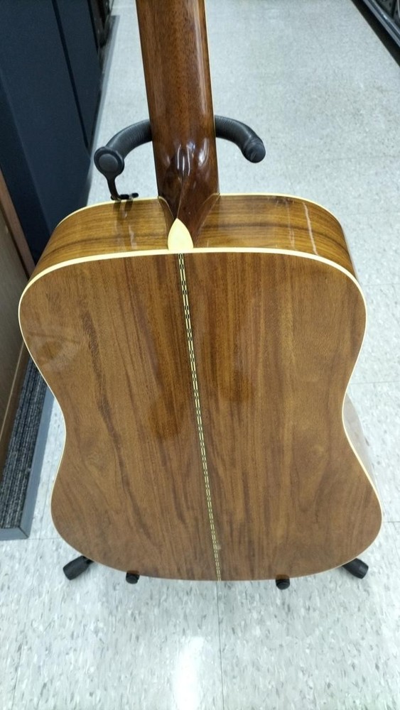 MORRIS MD-510 Acoustic