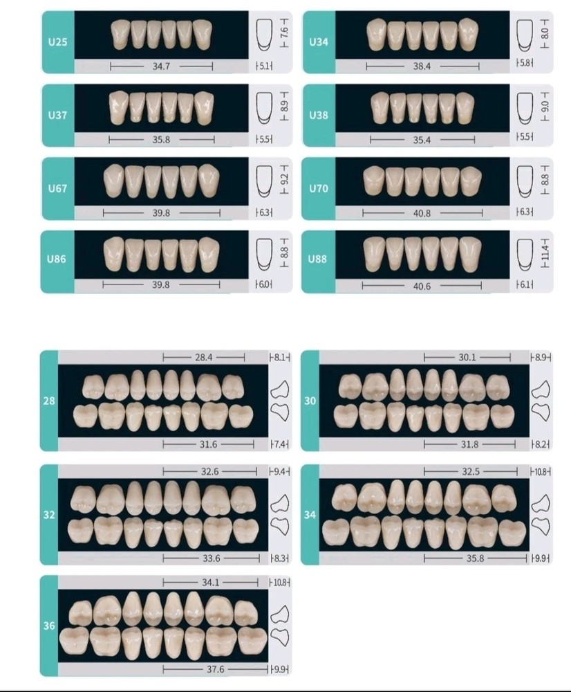 Multi-layer Composite Resin Teeth Dental Laboratory. Includes 20 full sets
