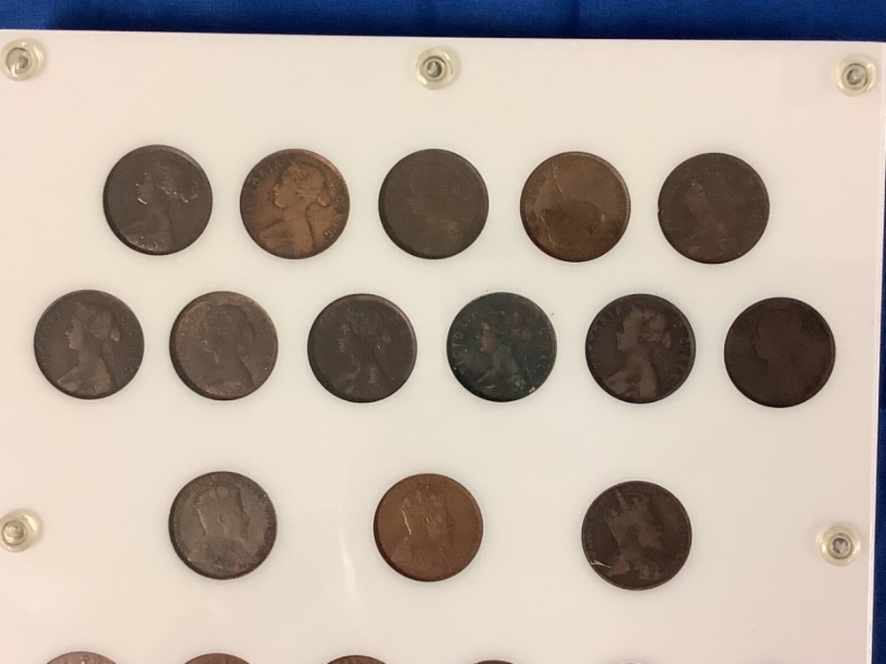 1865-1947 Newfoundland Large Cent Complete Set!