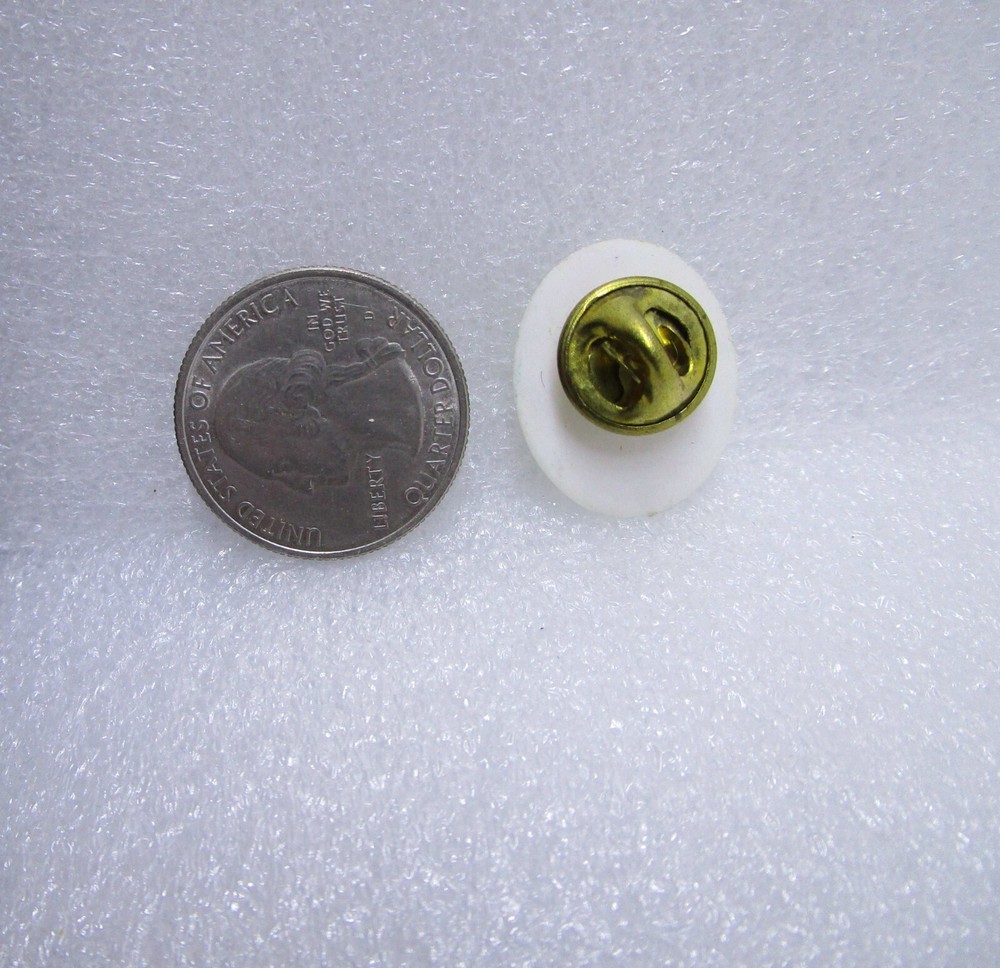 Renewal Plastic Pin