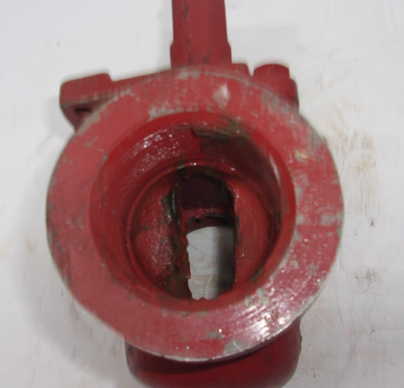 Nordstrom Flowserve Valve 2" Fig 8142 Threaded Plug Red