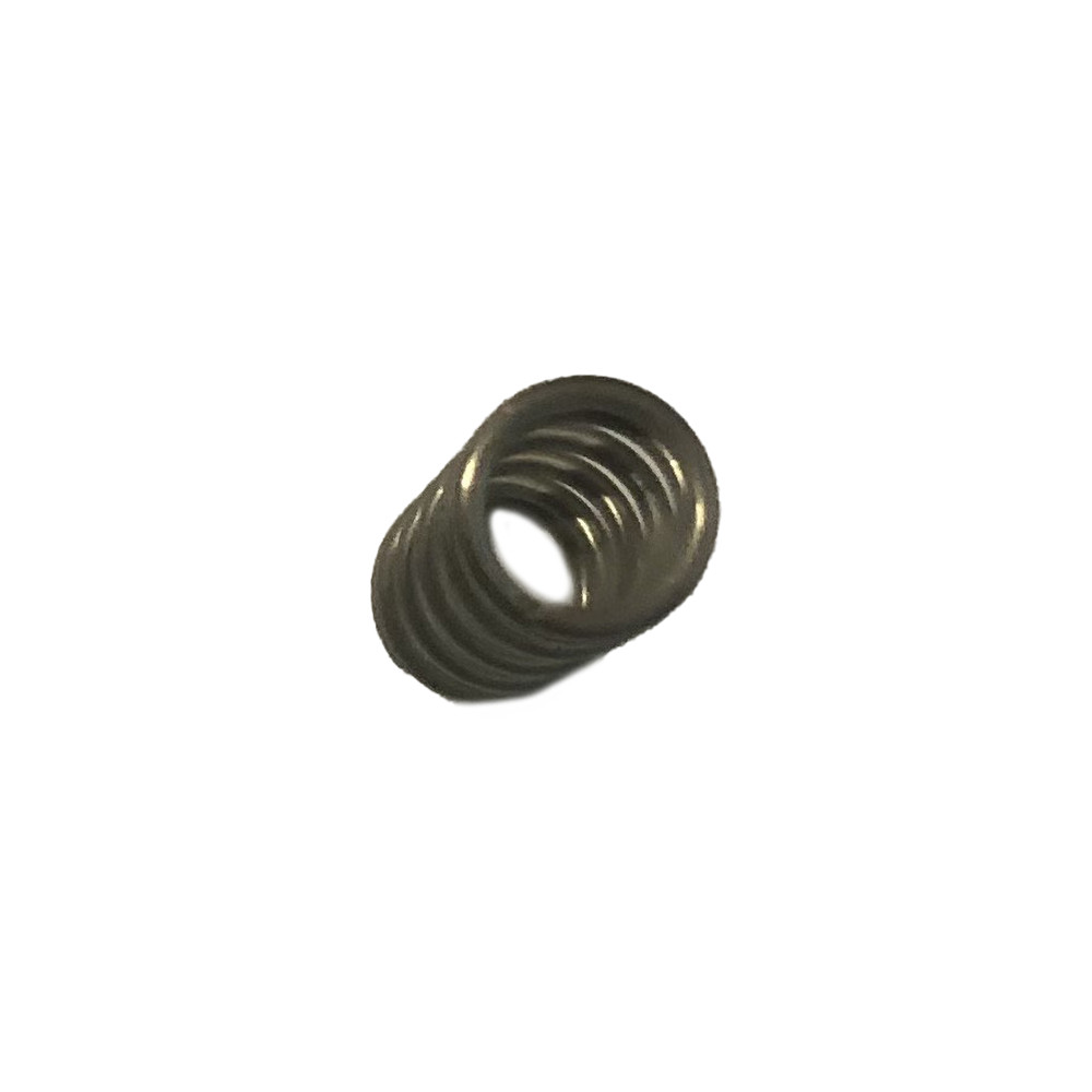 VS-156 Replacement Valve Spring for B&G Equipment Sprayers - 1 Valve Spring