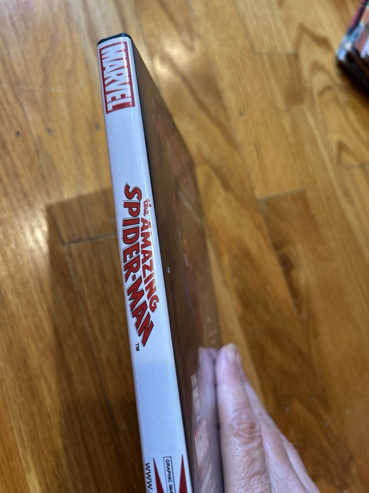 2007 THE AMAZING SPIDER-MAN DVD ROM WIN MAC SOFTWARE PC