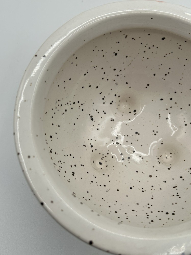 Anthropologie IRIS RAINBOW 5.5" Stoneware Planter Footed Pot