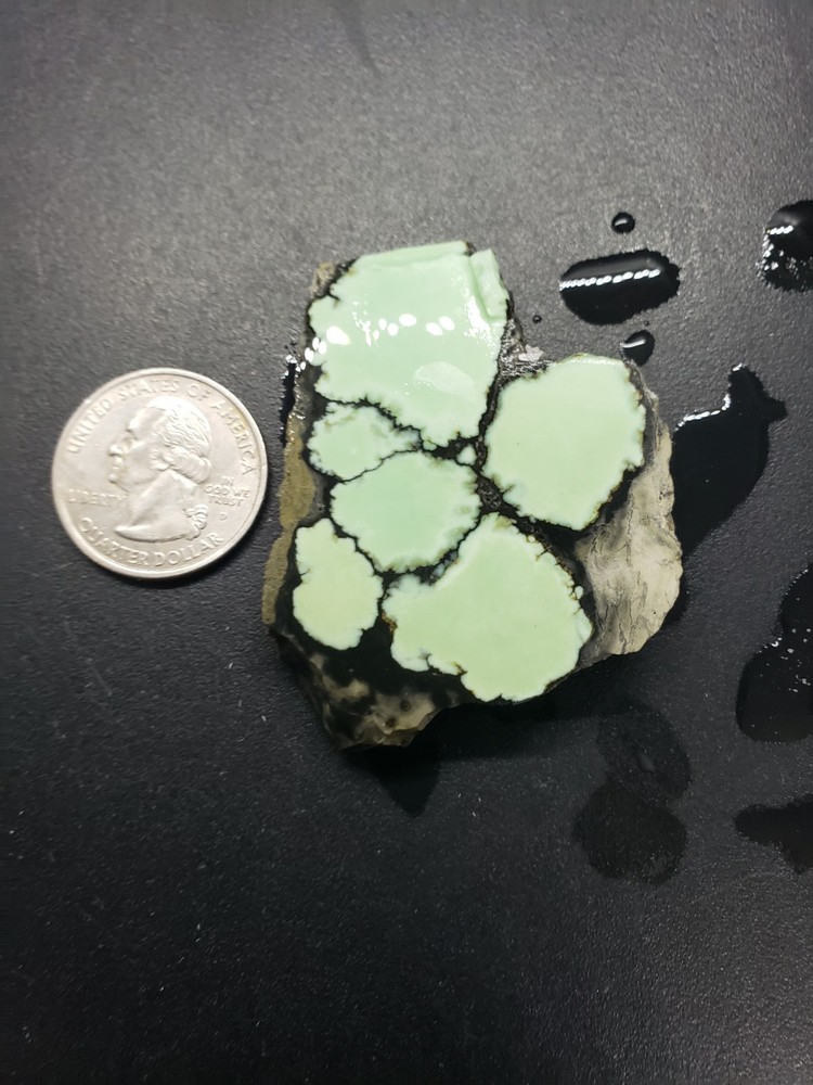 Nevada Saguaro Variscite Slab