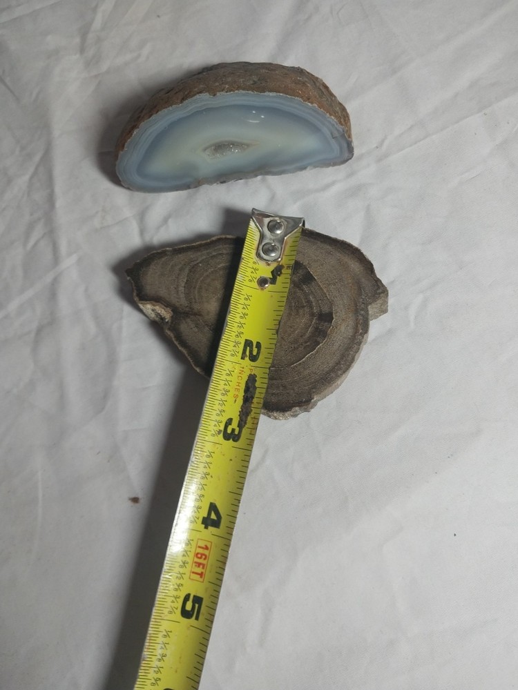 Petrified Wood, Half Geode Polished