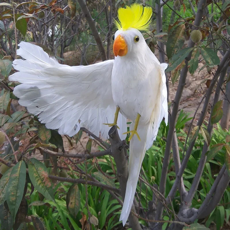 white "hello" wings parrot foam&feather simulation cockatoo model about 45cm