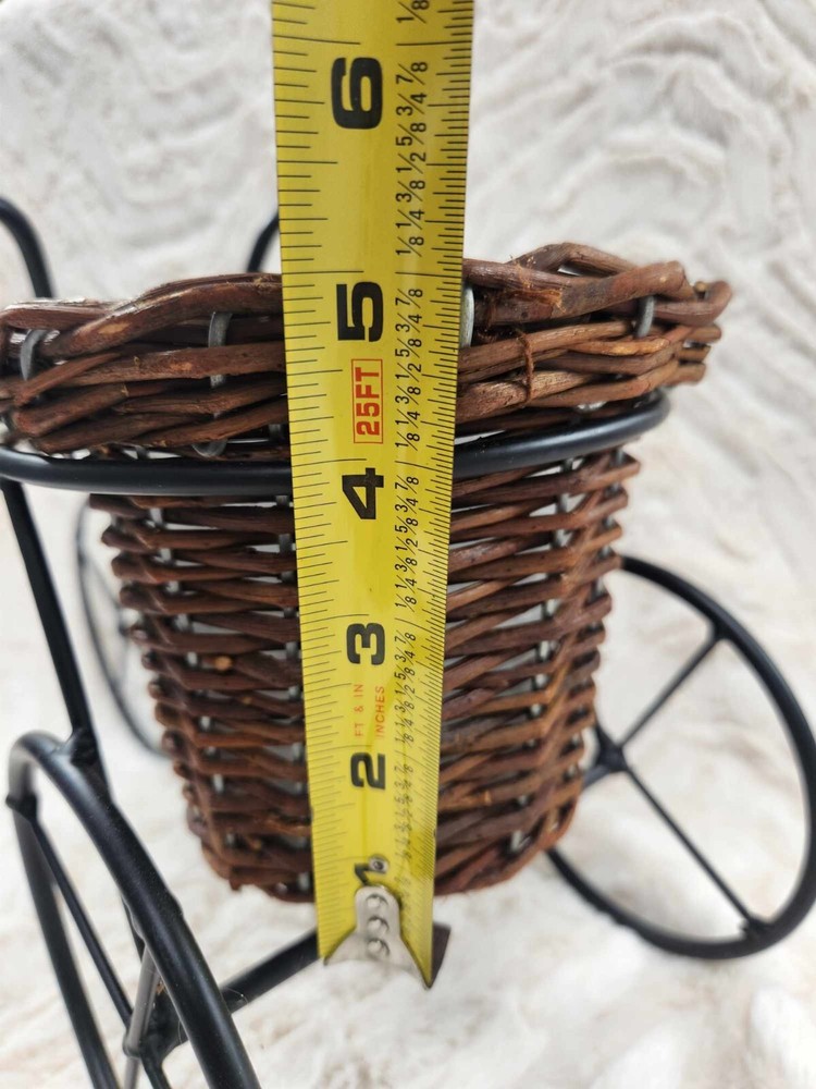 Tricycle Catchall Wicker Iron Planter