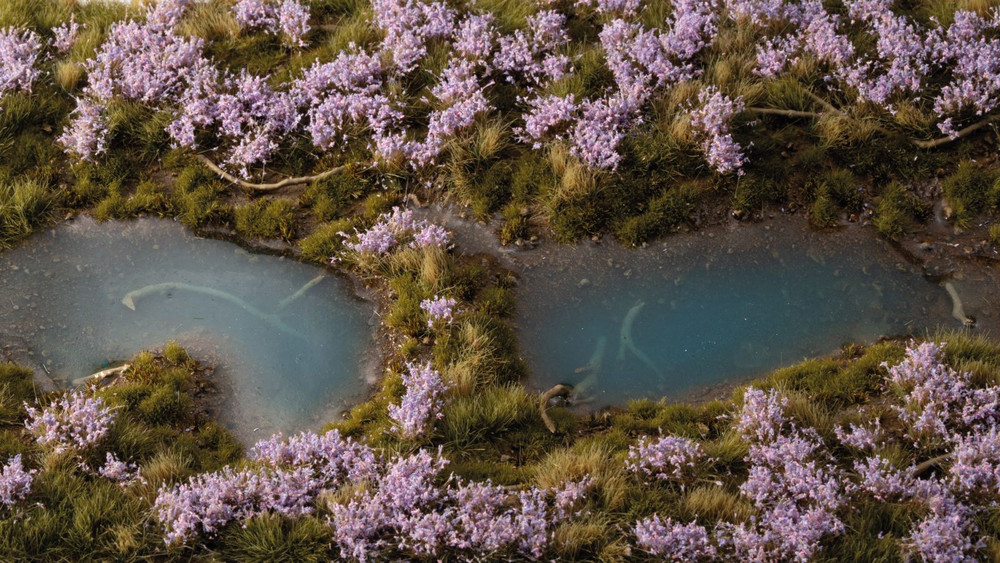 Gamer's Grass: Lavender Flowers
