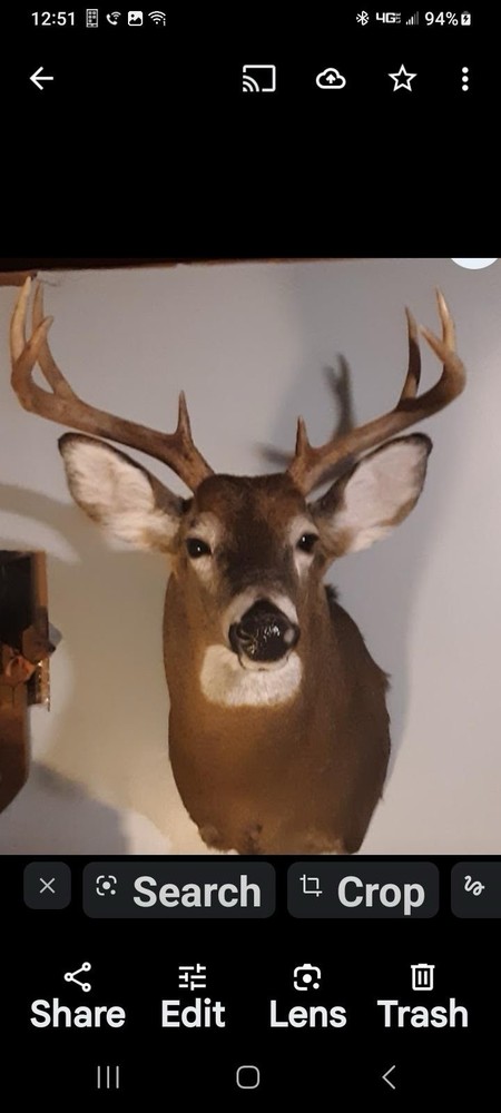 Deerheads