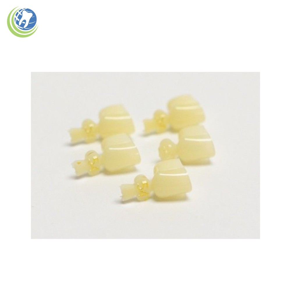DENTAL POLYCARBONATE TEMPORARY CROWNS #54 SECOND (2ND) BICUSPIDS LARGE 5/PACK
