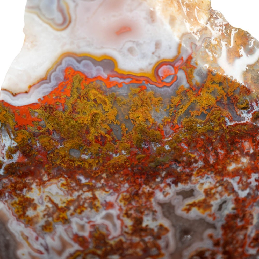Apple Valley Agate Slab - Multicolor Fortification Tubes Moss
