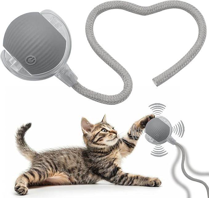 Automatic Rolling Ball for Cats – Rechargeable Smart Interactive Toy, Durable