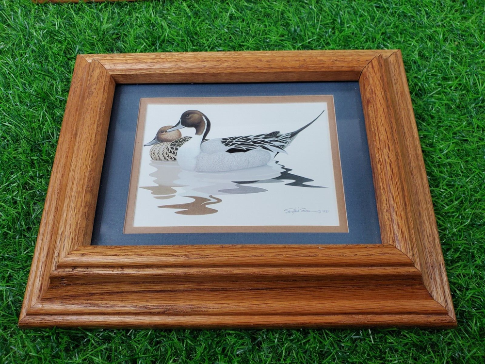 Richard Sloan Green-Wing Teal & Pin-Tail Ducks Signed Prints in Solid Oak Frames