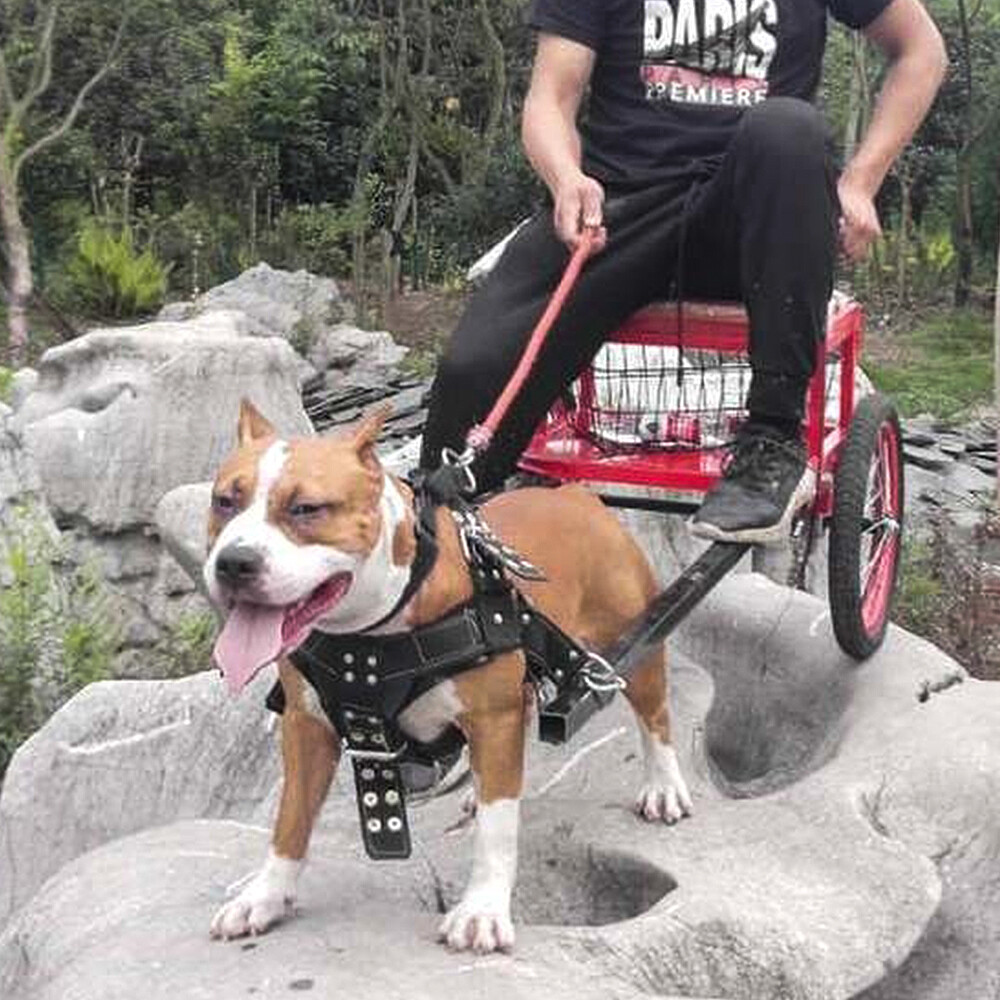 Heavy Duty Dog Weight Pulling Harness Adjustable Medium Large Vest Pitbull Black