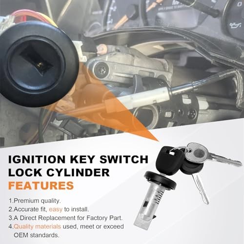 924-796 Ignition Lock Cylinder W/2 Chip keys With On-Board Programming For