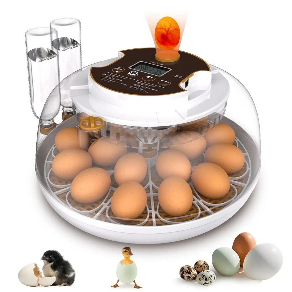 Incubators for Hatching Eggs,18 Egg Incubator with Automatic Egg Turning and ...