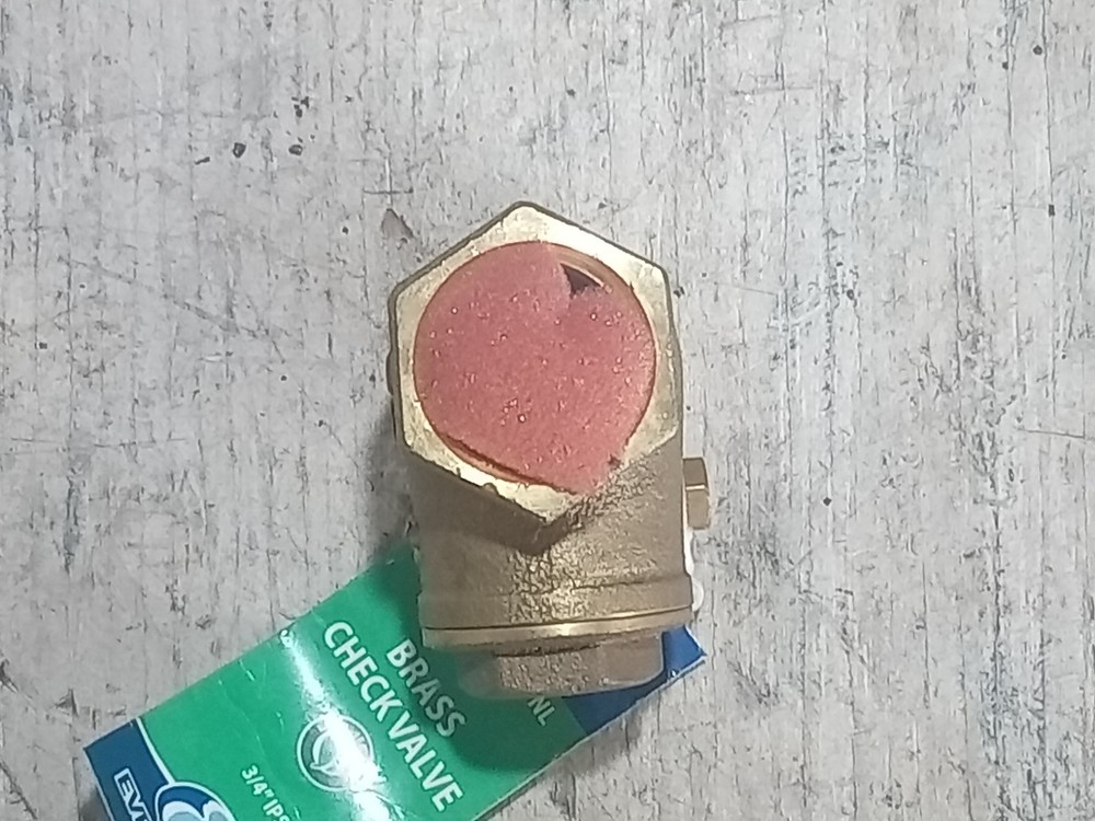 EVERFLOW 210T034-NL BRASS CHECK VALVE (O7B)