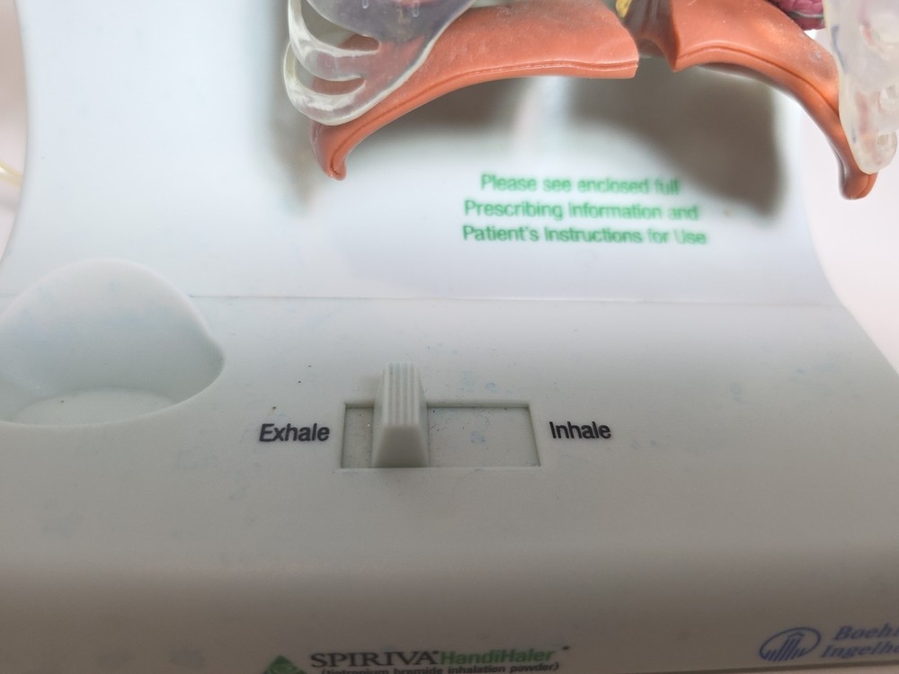 Vintage Pfizer Lung Display Model - Interactive Pump-expanding Lungs Works